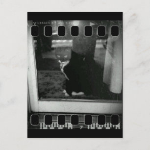 Filmstreifen Lucy Postkarte