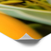 Filzfoxenkupplung im Tulip-Feld Poster (Ecke)