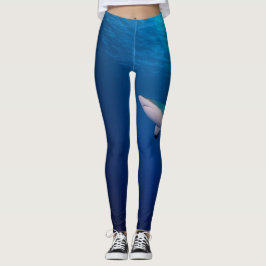 Fin : Riffhaie und Wellen Leggings