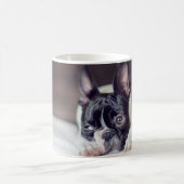 Fina das Boston Terrier Kaffeetasse (Mittel)