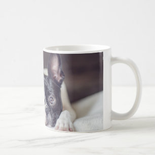 Fina das Boston Terrier Kaffeetasse