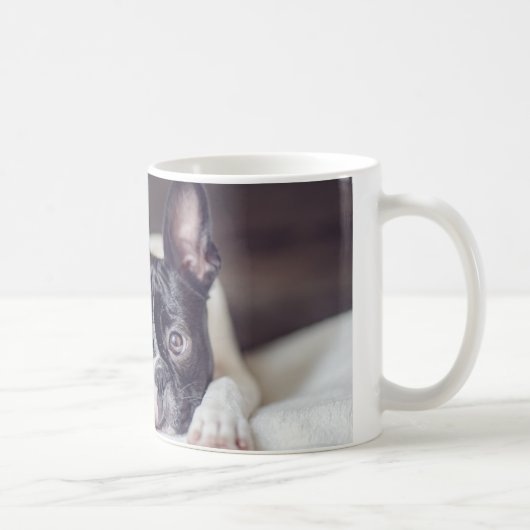 Fina das Boston Terrier Kaffeetasse (Rechts)
