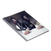 Fina das Boston Terrier Notizblock (Rechte Seite)