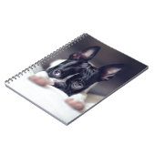 Fina das Boston Terrier Notizblock (Linke Seite)