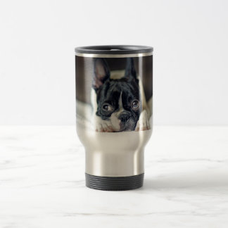 Fina das Boston Terrier Reisebecher