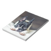Fina the Boston Terrier Notizblock (Rotiert)