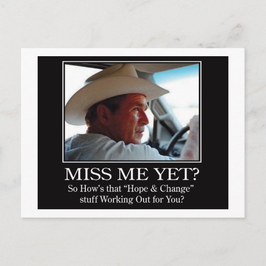 Final-BUSH-HAT.Miss-Meai Postkarte (Vorderseite)