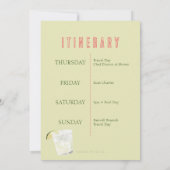 Final Fiesta Bachelorette Einladung (Rückseite)