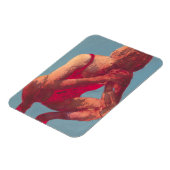 Finalist 2011 magnet (Linke Seite)