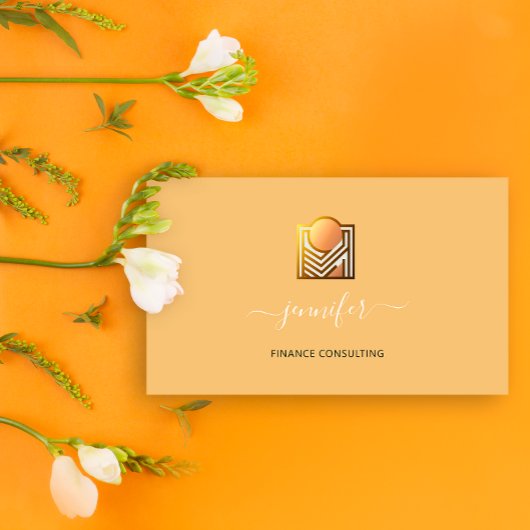 Finance Consulting Broker Accountant Bitcoins Rose Visitenkarte