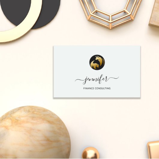 Finance Consulting Broker Buchhalter Coins Bufalo Visitenkarte