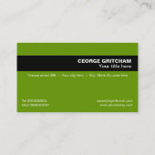 Finanzberater schwarz grüne Visitenkarte (Rückseite)