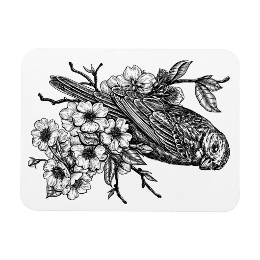 Finch auf Kirschzweig Magnet (Horizontal)