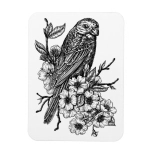 Finch auf Kirschzweig Magnet