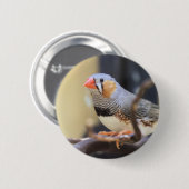Finch Button (Vorne & Hinten)