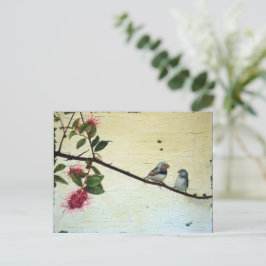Finch Conversation Postcard Postkarte