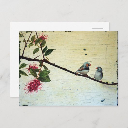 Finch Conversation Postcard Postkarte (Vorne/Hinten)