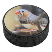 Finch Eishockey Puck (3/4)