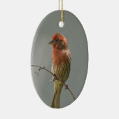 Finch im Haus an der Grenze. Keramik Ornament (Rechts)