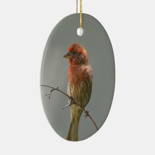 Finch im Haus an der Grenze. Keramik Ornament (Rechts)