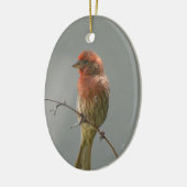 Finch im Haus an der Grenze. Keramik Ornament (Links)