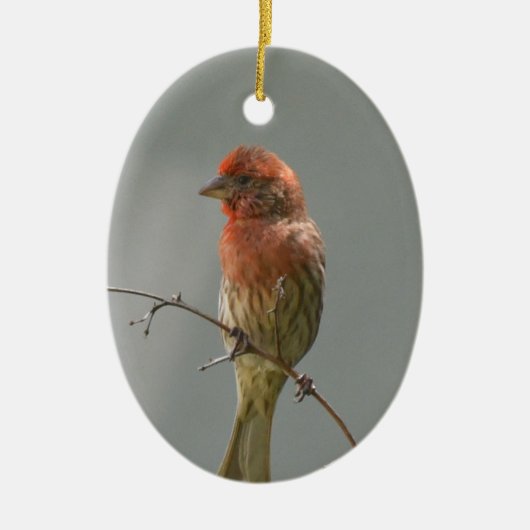Finch im Haus an der Grenze. Keramik Ornament (Vorne)