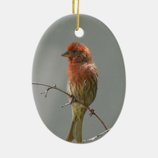 Finch im Haus an der Grenze. Keramik Ornament (Hinten)