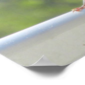 Finch in der Morgensonne. Poster (Ecke)