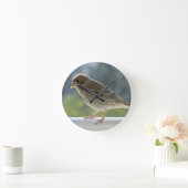Finch in der Morgensonne. Runde Wanduhr (Zuhause)