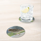 Finch in der Morgensonne. Runder Pappuntersetzer (Vor Ort)