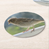 Finch in der Morgensonne. Runder Pappuntersetzer (Angewinkelt)