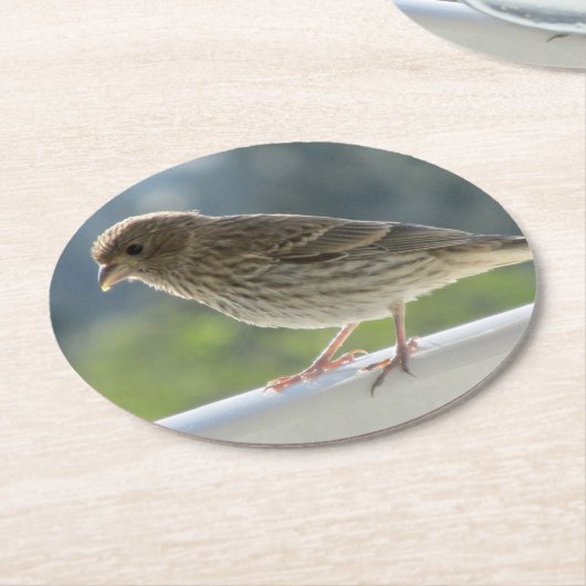 Finch in der Morgensonne. Runder Pappuntersetzer (Angewinkelt)