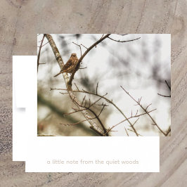 Finch in Winter Branches Nature Photography Mitteilungskarte