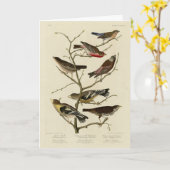 Finch, Jagd, Grosbeak, Audubon Birds of America Karte (Gelbe Blume)