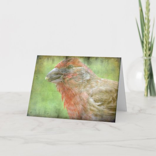 Finch Karte (Vorderseite)