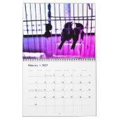 Finch-Liebe Kalender (Feb 2027)