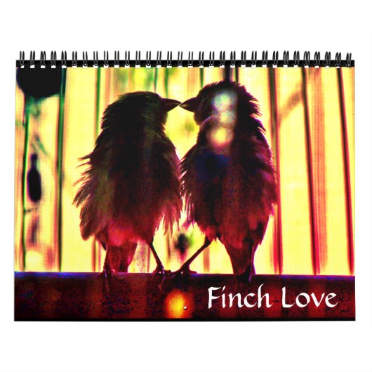 Finch-Liebe Kalender (Titelbild)
