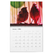 Finch-Liebe Kalender (Jan 2026)
