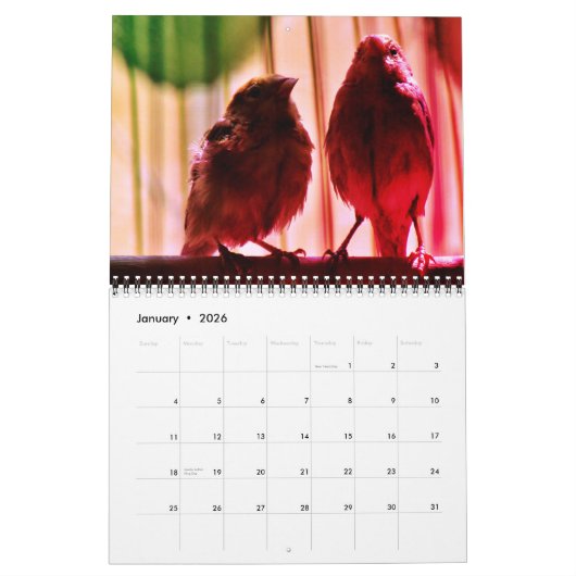 Finch-Liebe Kalender (Jan 2026)