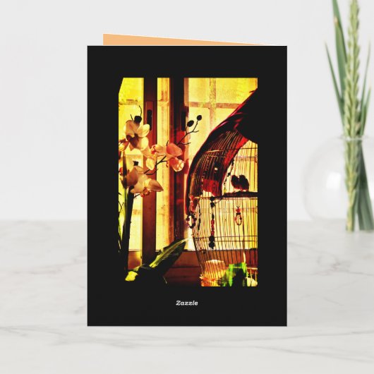 Finch-Liebe Karte (Rückseite)