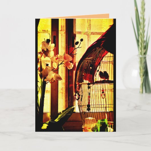 Finch-Liebe Karte (Vorderseite)