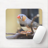 Finch Mousepad (Mit Mouse)