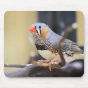 Finch Mousepad