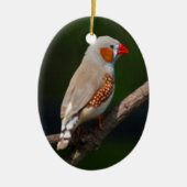 Finch Ornament (Vorne)