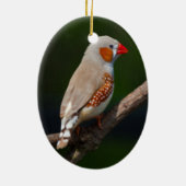 Finch Ornament (Hinten)