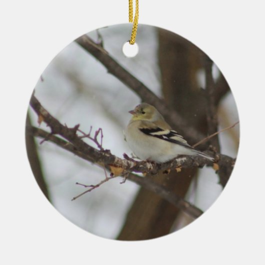 Finch Ornament (Vorne)