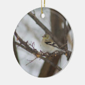 Finch Ornament (Links)