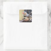 Finch Quadratischer Aufkleber (Tasche)