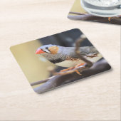 Finch Rechteckiger Pappuntersetzer (angewinkelt)
