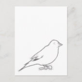 Finch-Sketch Postkarte (Vorderseite)